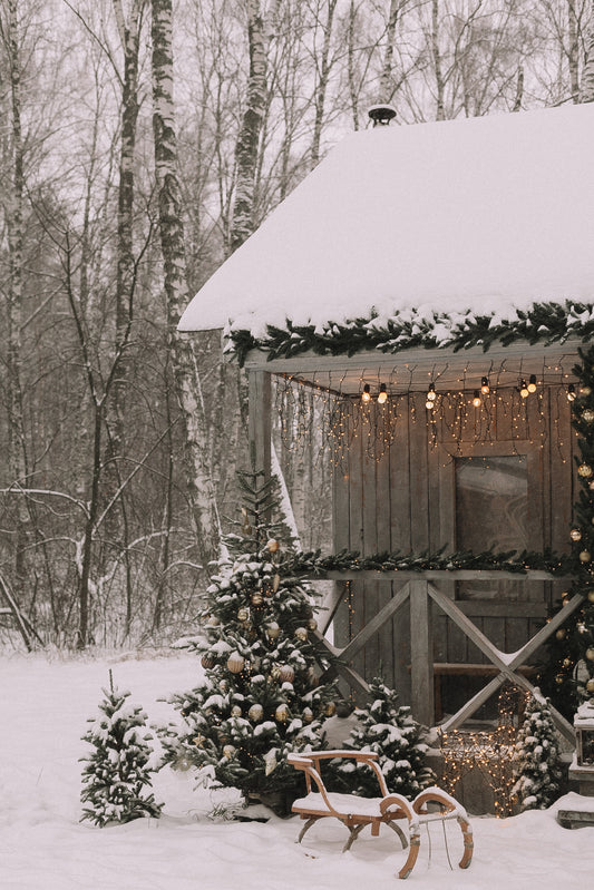Eco-friendly Tips for the Holiday Season!